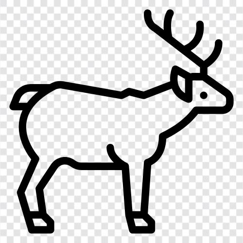 avcılık, buck, antler, horns ikon svg