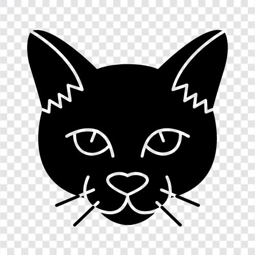 indian cat, bobcat, tuxedo cat, calico cat icon svg