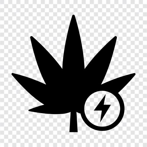 indica strain, hybrid, sativa dominant, indica dominant icon svg