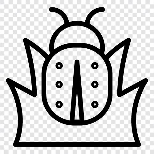 insect, fly, crawl, scuttle icon svg