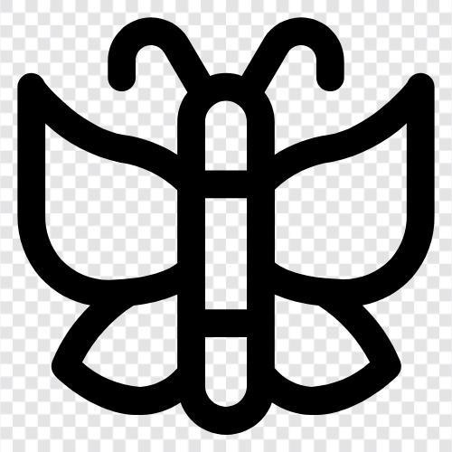 Insekt, flatternd, Monarch, Raupe symbol