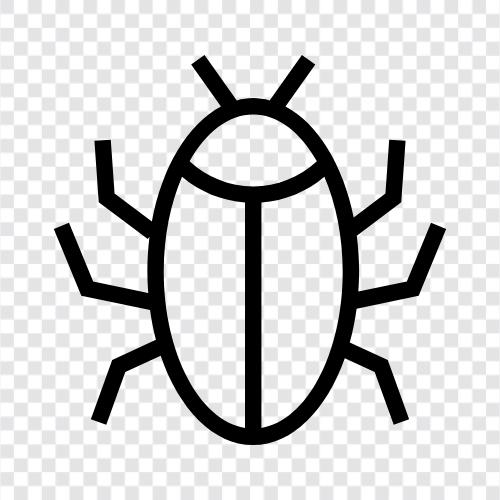 insect, beetle, fly, spider icon svg