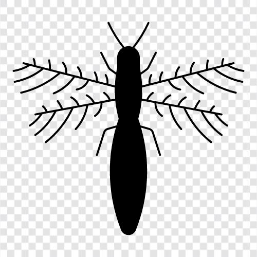 insects, pests, diseases, bite icon svg