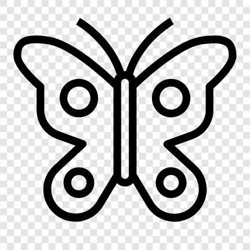Insekten, flattern, fliegen, hübsch symbol