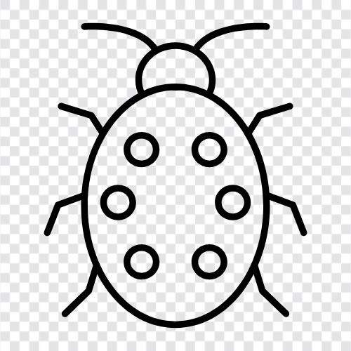 insects, bugs, beetle, cockroach icon svg