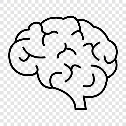 intelligence, neuron, nerve, gray matter icon svg