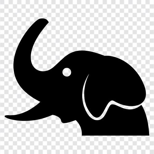 ivory, tusks, population, endangered icon svg