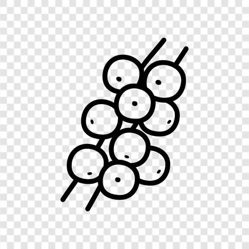 jabuticab, jabuticaba ağacı, jabuticaba meyvesi, jabuticaba ikon svg