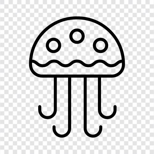 Jellyfish Bilder, Jellyfish Videos, Jellyfish Fakten, Jellyfish symbol