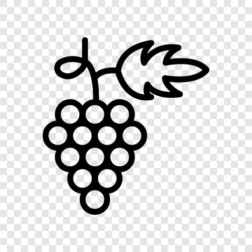 Saft, Wein, Rosinen, Grapefruit symbol