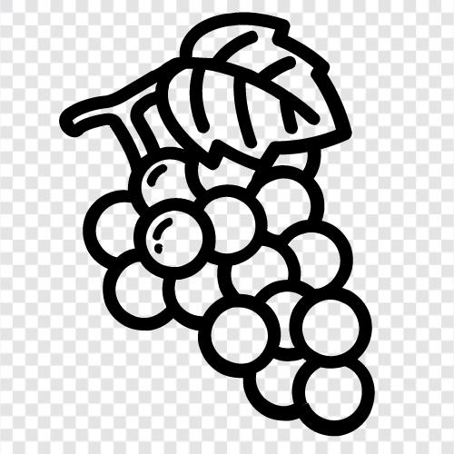 Saft, Wein, Rosinen, Heidelbeeren symbol