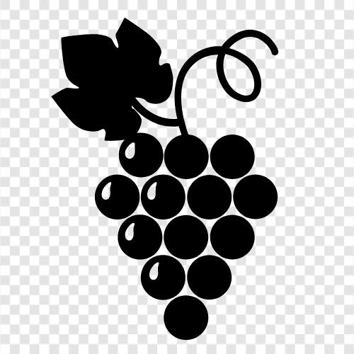 juice, wine, raisins, dried icon svg