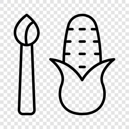 kernels, maize, cob, field icon svg