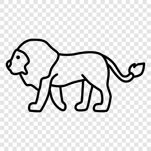 king of the jungle, big cat, powerful animal, Lion icon svg