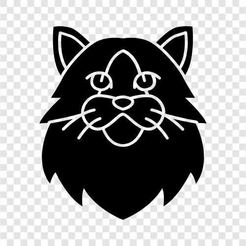 kitten, toys, animal, play icon svg