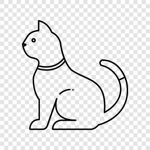 kitty, feline, felines, house cat icon svg