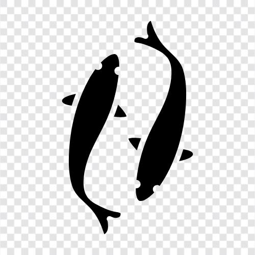 Koi Teich, Koi Fisch, Koi Teich Pflanzen, Goldfisch symbol