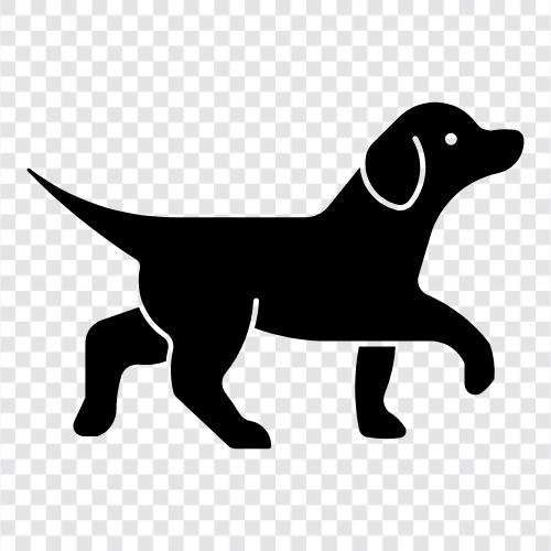 lab, retriever, dog, breed ikon svg