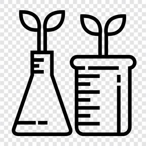 laboratory for plants, botanical laboratory, plant breeding, plant science icon svg