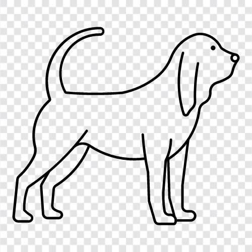 Labrador Retriever, takip eden köpek, takip eden hayvan, Bloodhound ikon svg