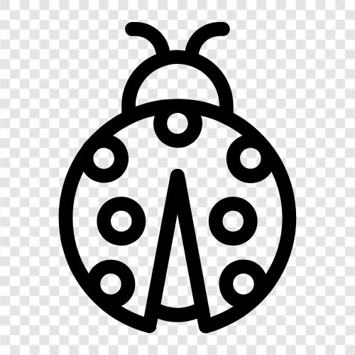 lady bugs, bug, ladybug böceği, ladybug larvaları ikon svg