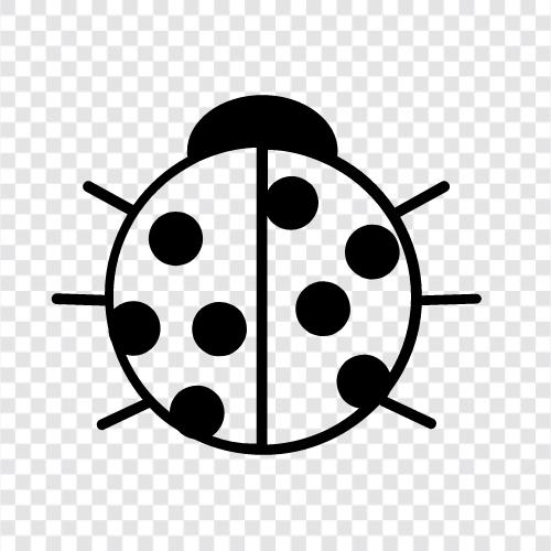 Ladybug icon svg