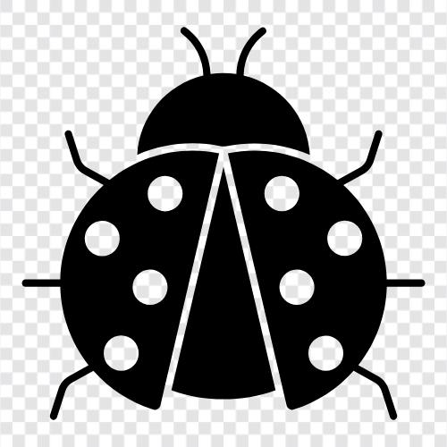 ladybug ikon svg