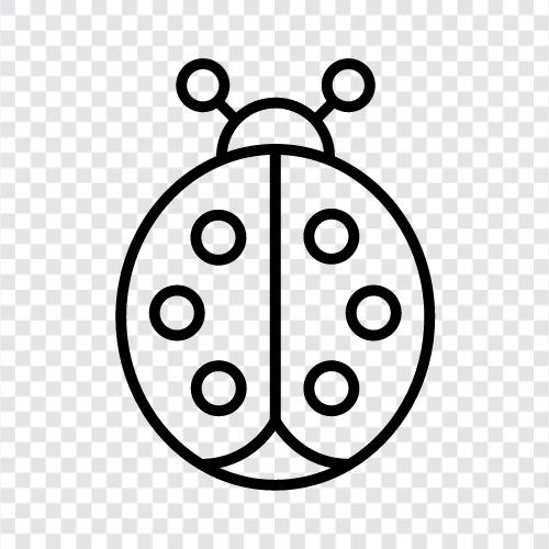 ladybug ikon svg