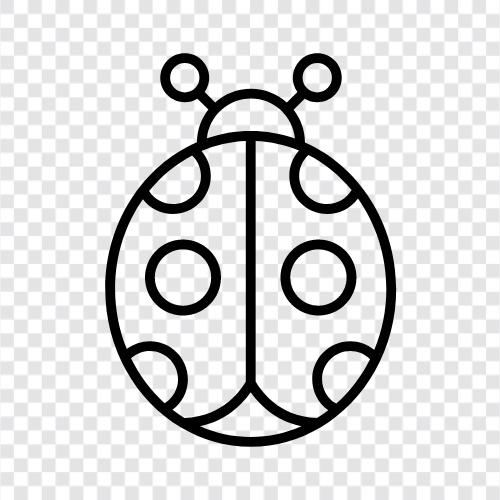 ladybug icon svg