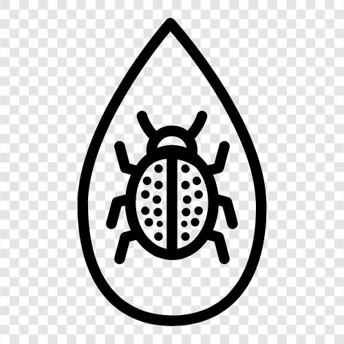 Ladybug Ladybug, Ladybug ikon svg