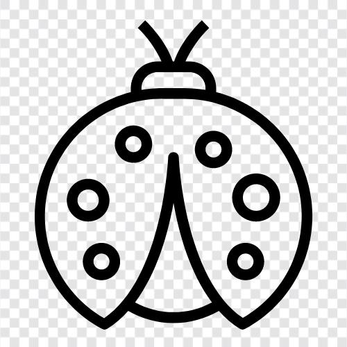 ladybug icon svg