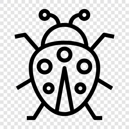 ladybug ikon svg