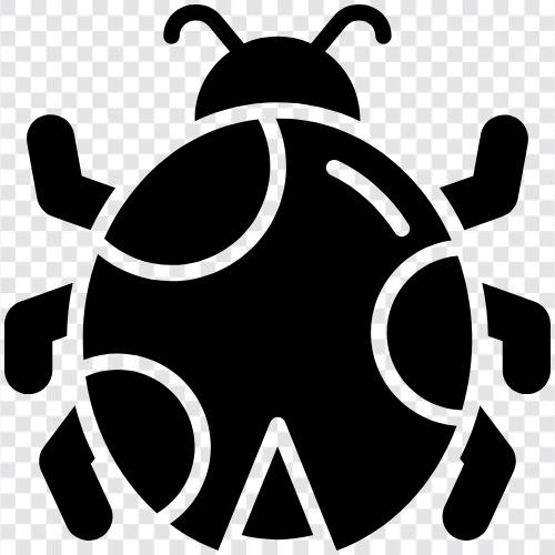 ladybug ikon svg