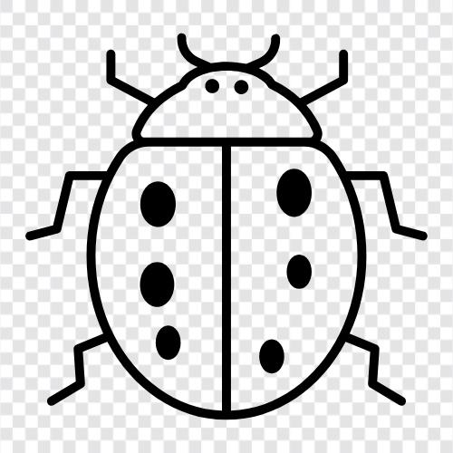 ladybug ikon svg