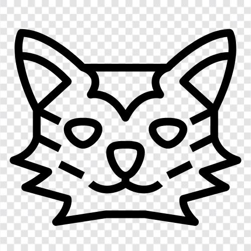 laperm for cats, laperm for cats sale, laper, laperm cat icon svg