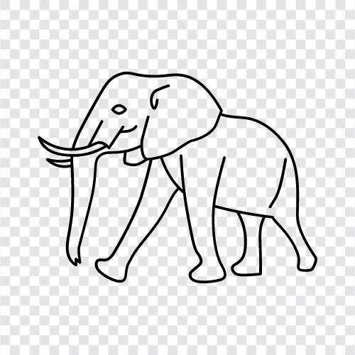 Büyük, Hayvan, Mammal, Elephant ikon svg