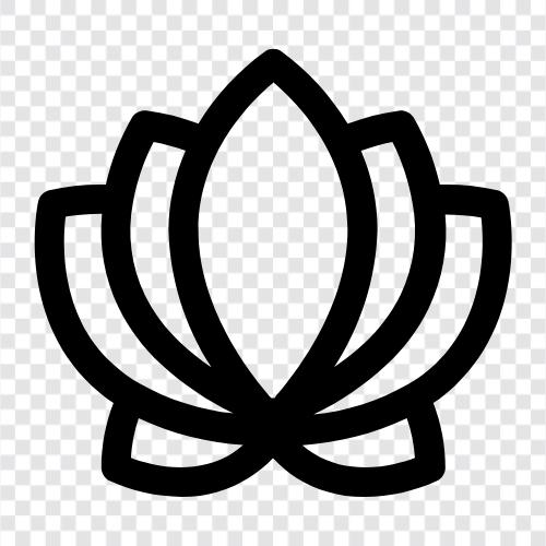 latus çiçek anlamı, latus çiçek sembolizmi, latus çiçek ikon svg