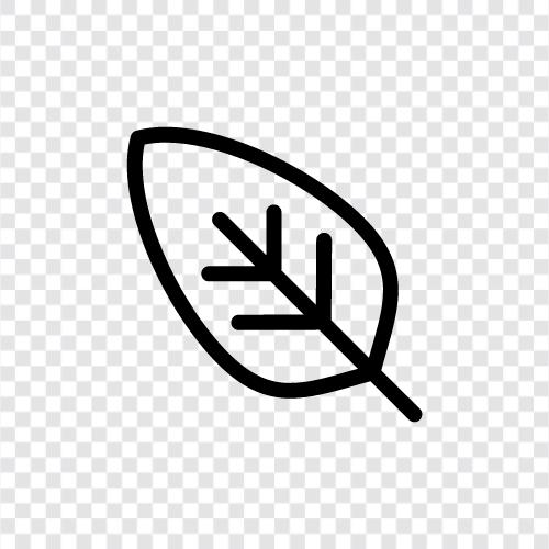 leaflet, blade, petiole, stipule icon svg