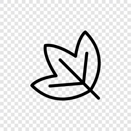 leaves, foliage, green, plants icon svg