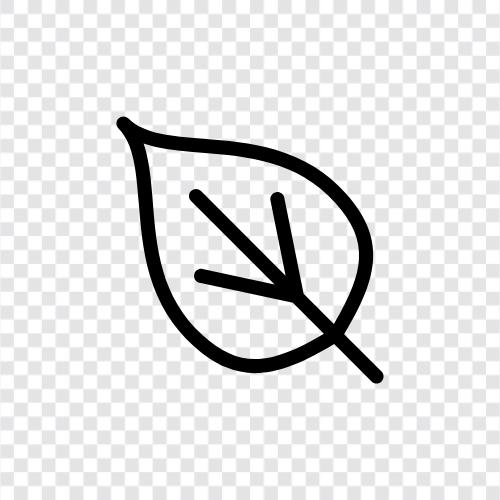 Blätter, grün, Laub, Baum symbol