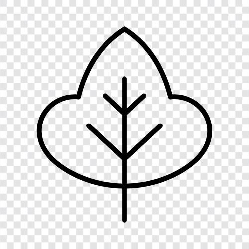 leaves, foliage, tree, forest icon svg