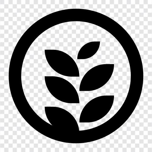 leaves, leaf, blade, plant icon svg