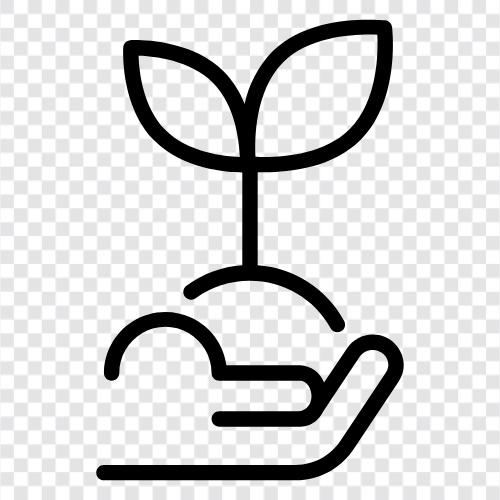 Blätter, Rinde, Blumen, Früchte symbol