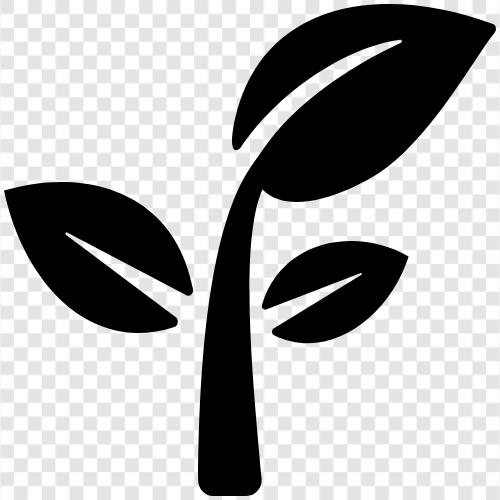 Blätter, Baum, Blatt symbol