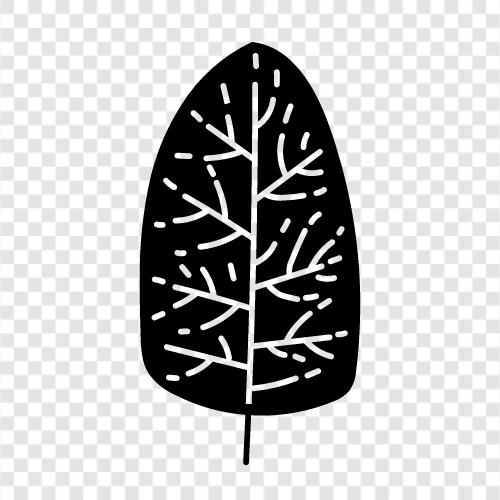Blätter, Rinde, Stamm, Wurzeln symbol