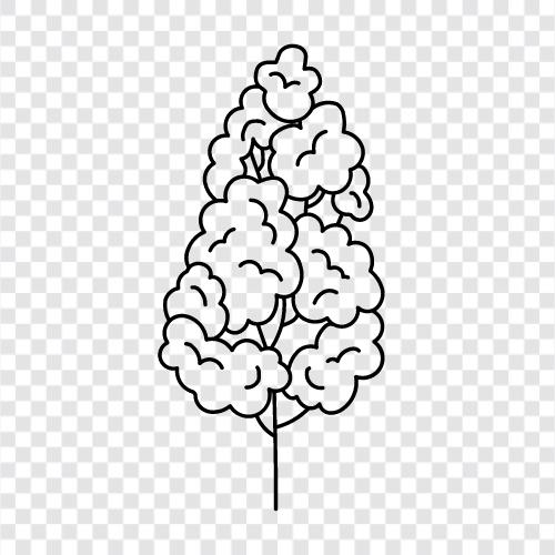 leaves, branches, trunk, bark icon svg