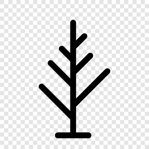 leaves, bark, branches, roots icon svg