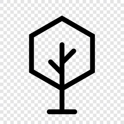 leaves, bark, branches, trunk icon svg