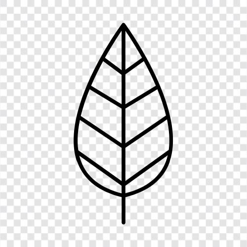 leaves, tree, growth, leaves falling icon svg
