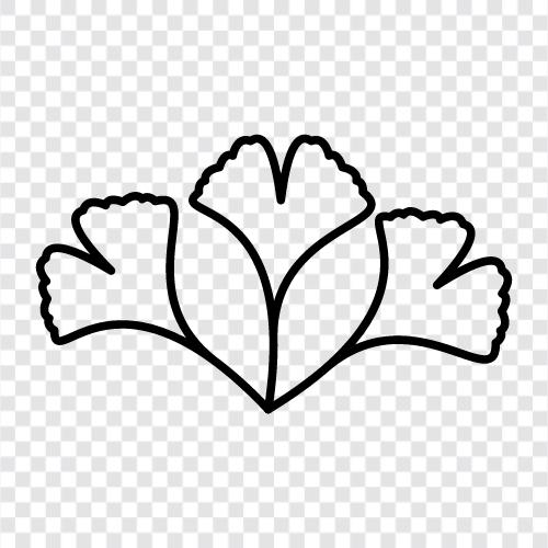 Blätter, Baum, botanische, Gesundheit symbol